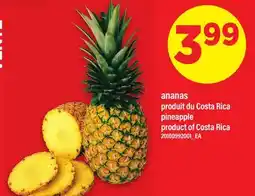 Maxi ANANAS | PINEAPPLE offer