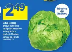 Maxi LAITUE ICEBERG | ICEBERG LETTUCE offer