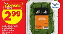 Maxi SALADES ATTITUDE FRAÎCHE offer