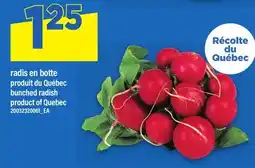 Maxi RADIS EN BOTTE | BUNCHED RADISH offer