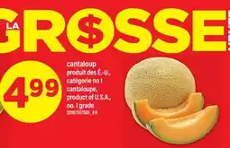 Maxi CANTALOUP | CANTALOUPE offer