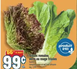 Marché Adonis LAITUES ROMAINE, VERTE OU ROUGE FRISÉES | ROMAINE, GREEN OR RED LEAF LETTUCES offer