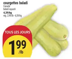 Marché Adonis COURGETTES BALADI | BALADI SQUASH offer