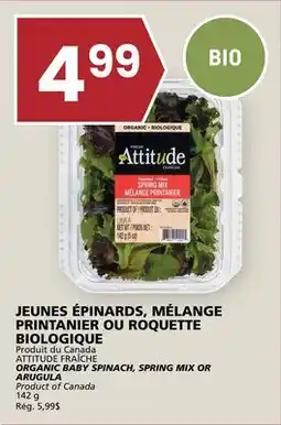 Rachelle-Bery Grocery ATTITUDE ORGANIC BABY SPINACH, SPRING MIX OR ARUGULA offer