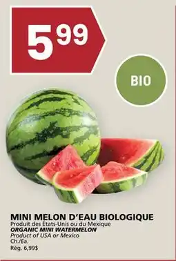Rachelle-Bery Grocery ORGANIC MINI WATERMELON offer