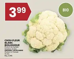 Rachelle-Bery Grocery CHOU-FLEUR BLANC BIOLOGIQUE offer