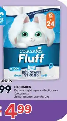 Brunet CASCADES Papiers hygiéniques sélectionnés offer