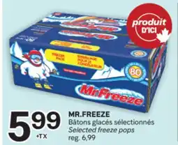 Brunet MR.FREEZE offer