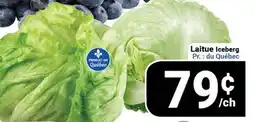 Pasquier Laitue Iceberg offer