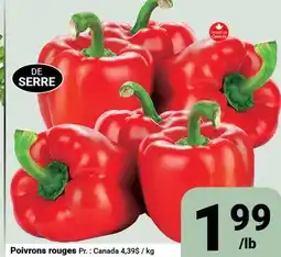 Pasquier Poivrons rouges offer