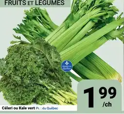 Pasquier Céleri ou Kale vert offer