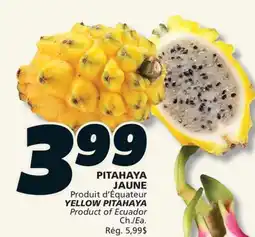 IGA YELLOW PITAHAYA offer
