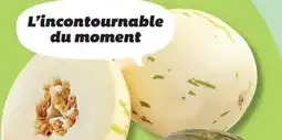 IGA CANARY OR SANTA CLAUS MELON offer