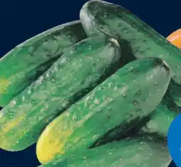 IGA CUCUMBERS FOR MARINATING offer