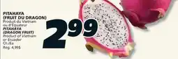 IGA PITAHAYA (DRAGON FRUIT) offer