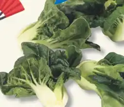 IGA BABY BOK CHOY offer