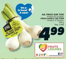 IGA FRESH GARLIC ON STEM offer