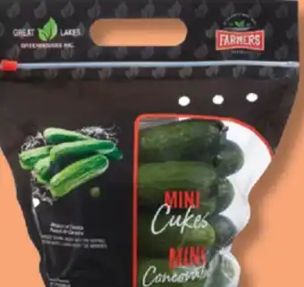 IGA SEEDLESS MINI CUCUMBERS offer