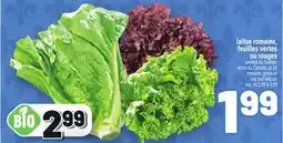 Metro LAITUE ROMAINE, FEUILLES VERTES OU ROUGES | ROMAINE, GREEN OR RED LEAF LETTUCE offer