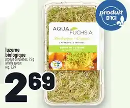 Metro LUZERNE BIOLOGIQUE offer