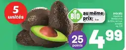 Metro AVOCATS | AVOCADOS offer