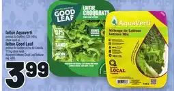 Metro LAITUE AQUAVERTI, LAITUE GOOD LEAF, LAITUE MIX offer
