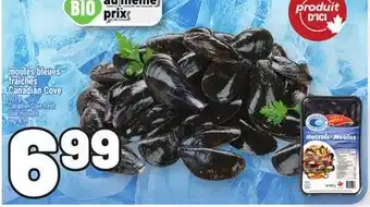 Metro MOULES BLEUES FRAÎCHES CANADIAN COVE | CANADIAN COVE FRESH BLUE MUSSELS offer