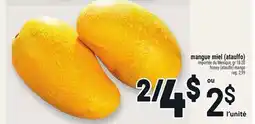 Metro MANGUE MIEL (ATAULFO) | HONEY (ATAULFO) MANGO offer
