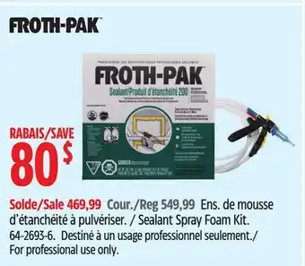 Canadian Tire Sealant Spray Foam Kit offer