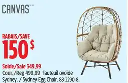 Canadian Tire CANVAS Sydney Egg Chair offer