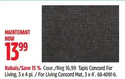 Canadian Tire For Living Concord Mat, 3 x 4´ offer