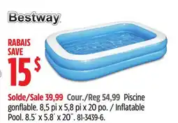 Canadian Tire Inflatable Pool offer