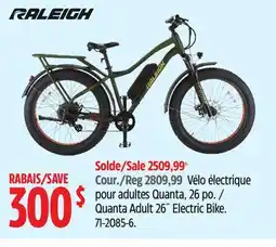 Canadian Tire Raleigh Quanta Adult 26˝ Electric Bike offer