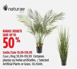 Canadian Tire Selected Artificial Plants or Grass offer