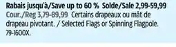 Canadian Tire Selected Flags or Spinning Flagpole offer