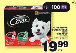 Marches Tradition CESAR DOG FOOD offer