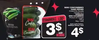 Marches Tradition SEEDLESS MINI CUCUMBERS offer