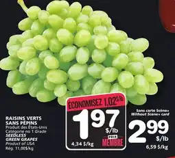 Marches Tradition SEEDLESS GREEN GRAPES offer