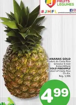 Marches Tradition GOLD PINEAPPLE offer