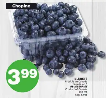 Marches Tradition BLUEBERRIES offer
