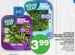 Marches Tradition GOOD LEAF LETTUCE OR HERO GREENS offer