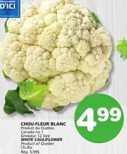 Marches Tradition WHITE CAULIFLOWER offer