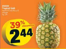 Super C ananas Tropical Gold | pineapple offer