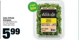 Super C laitue Attitude biologique | Attitude organic lettuce offer
