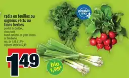 Super C radis en feuilles ou oignons verts ou fines herbes | bunch radishes or green onions or fine herbs offer