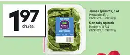 Giant Tiger 5 oz baby spinach offer
