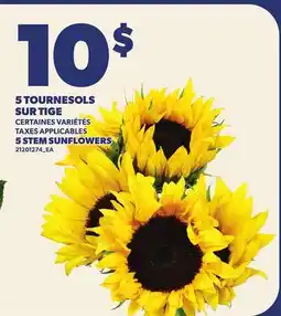 Provigo 5 TOURNESOLS SUR TIGE | 5 STEM SUNFLOWERS offer