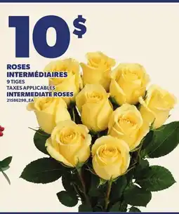 Provigo ROSES INTERMÉDIAIRES | INTERMEDIATE ROSES, 9 TIGES offer