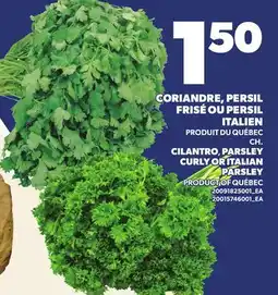 Provigo CORIANDRE, PERSIL FRISÉ OU PERSIL ITALIEN | CILANTRO, PARSLEY CURLY OR ITALIAN PARSLEY offer