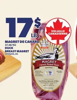 Provigo MAGRET DE CANARD | DUCK BREAST MAGRET offer